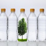 Bottles with Tree