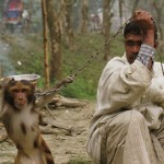 A man with a performing mon