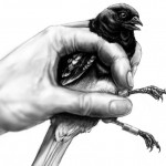 Drawing of hand and bird
