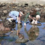 Two people kneel by tide pool