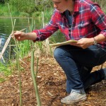 Woman kneels by two-foot tall willow branches