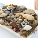 Platter of raw shellfish