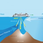graphic of boat and hump
