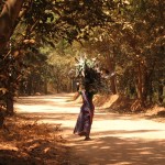 The forest provides firewood for the 40,000 Tamil villagers who live around Auroville. "Founded in 1968 upon a severely eroded plateau in south India, the first order of business for the pioneers was to revitalize the land. Three million trees later, Auroville is home to over 2,000 people from 43 different countries and is one of the few places on Earth where biodiversity is actually increasing," Litfin writes.