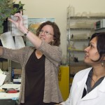Two women and willow cutting in lab