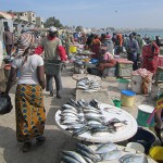 A typical day at the fish market in Dakar, Senegal.