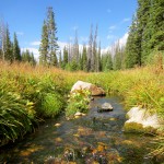 A stream in Wyoming.