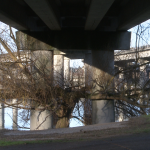A tree wraps its branches around the concrete pillars of one of the ramps that weren’t built due to the freeway revolt. Minda Martin of UW Bothell is directing a documentary about the protest.