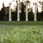 Sylvan Grove columns