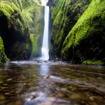 The environment we grow up with informs how we define "nature," UW psychology professor Peter Kahn says. Encounters with truly wild places inspire people to preserve them.