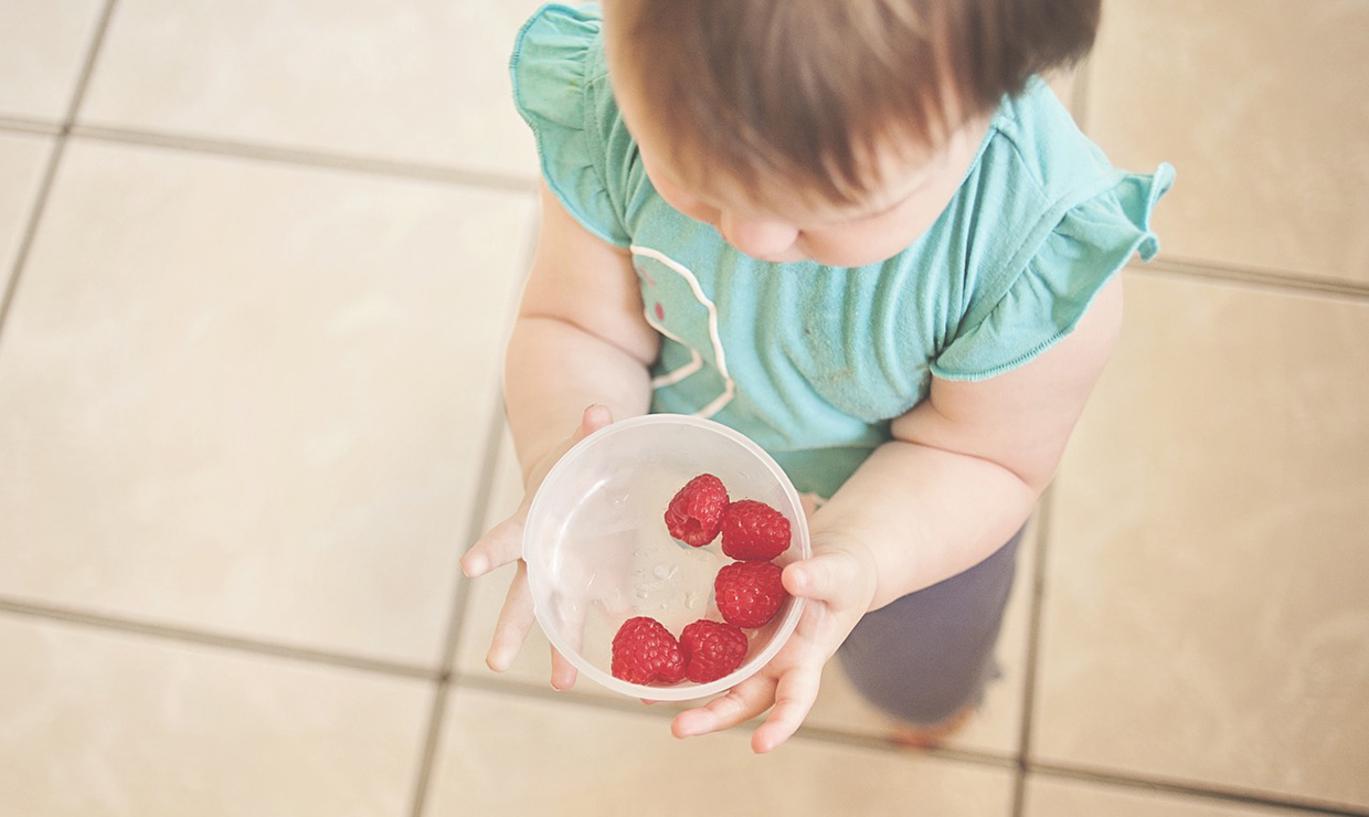 Altruistic babies? Study shows infants are willing to give up food, help others