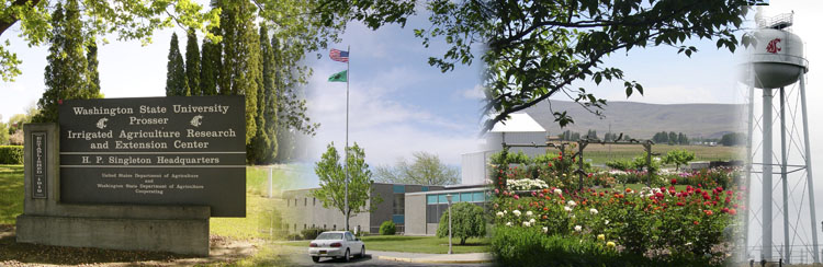 Collage of campus images