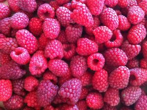 close up of red raspberries