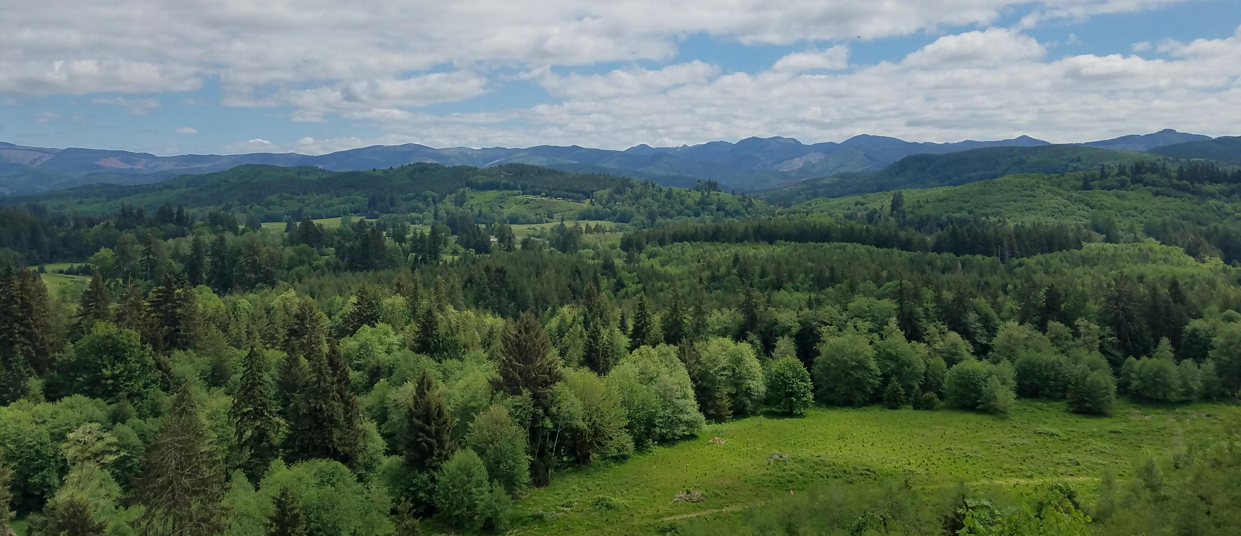 Scenic view of hilly forestland in western Washington