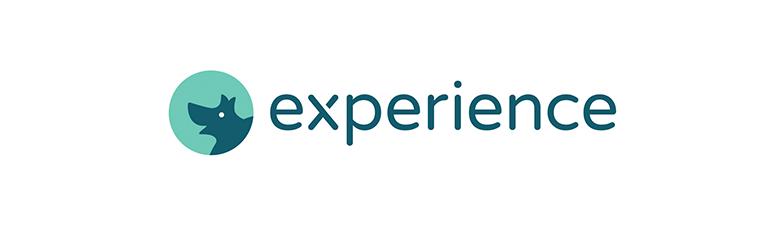 experience