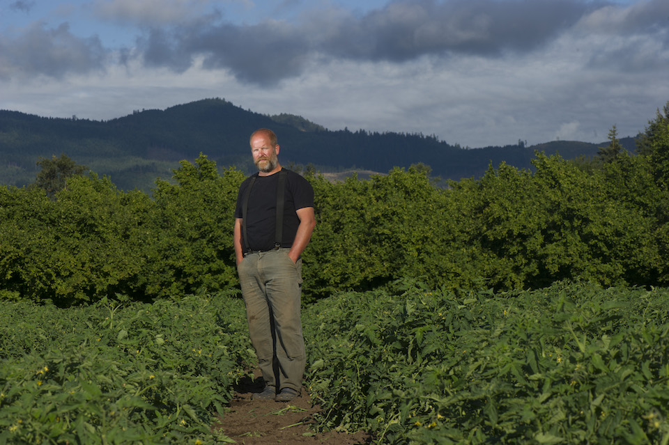 Robin Loznak, Norm Lehne Gardens and Orchards, tomatoes