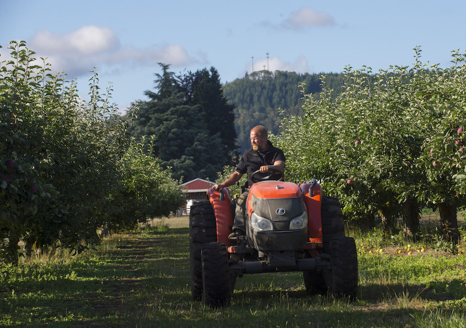 Robin Loznak, Norm Lehne Gardens and Orchards, tomatoes