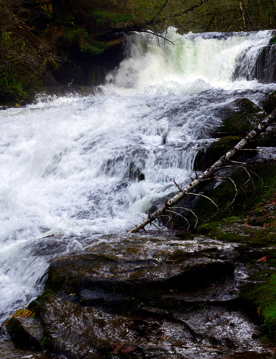 Alsea Falls