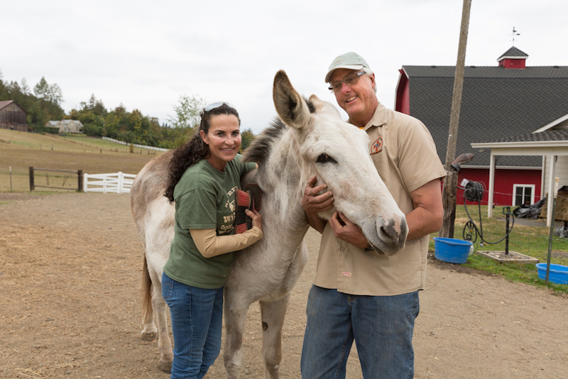 Peaceful Valley Donkey Rescue