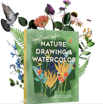 Book Launch: Peggy Dean\'s Guide to Nature Drawing & Watercolor