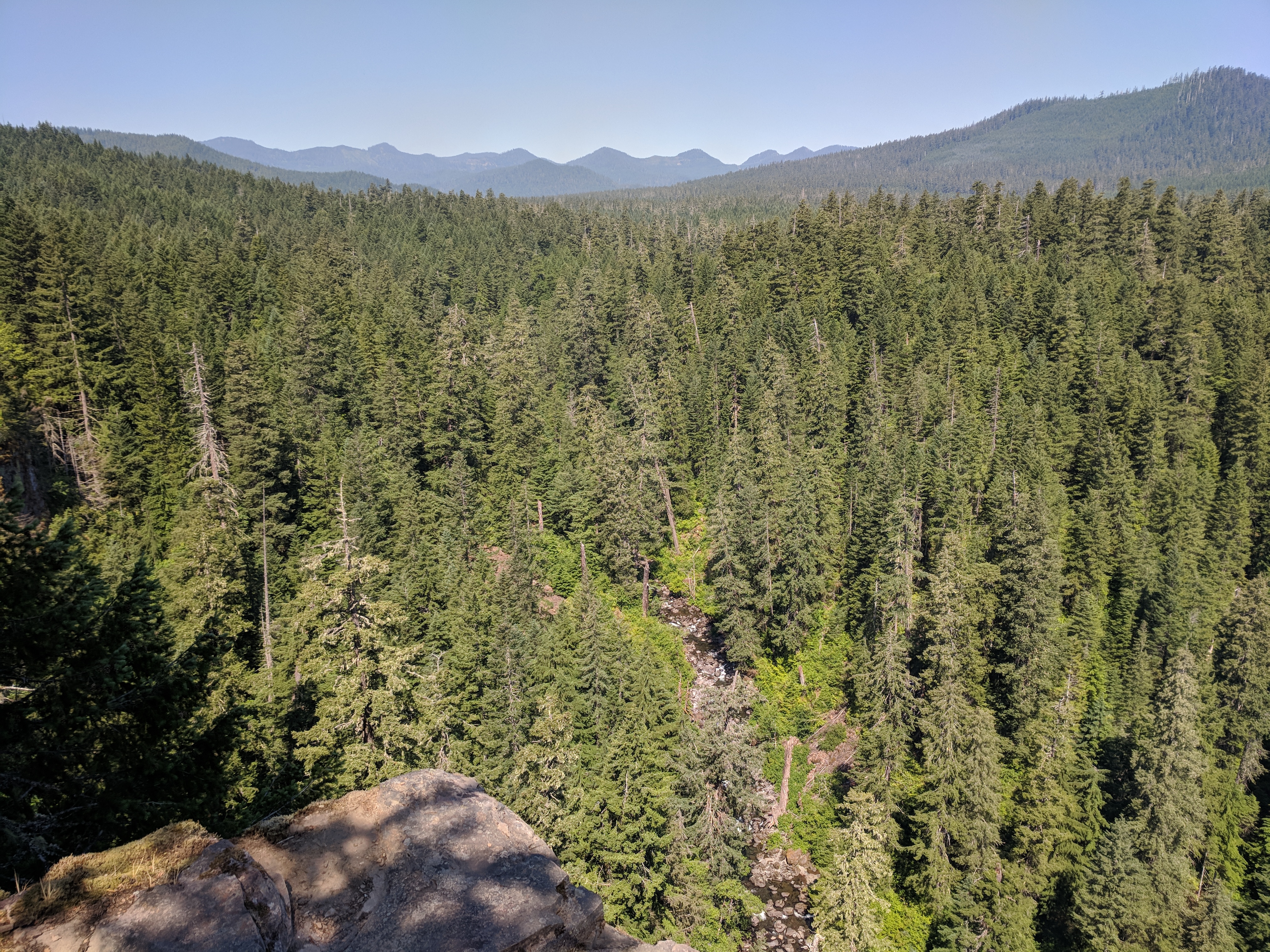 PCT section hike June 2018 (Cascade Locks to Warren Gap Rd) Oregon