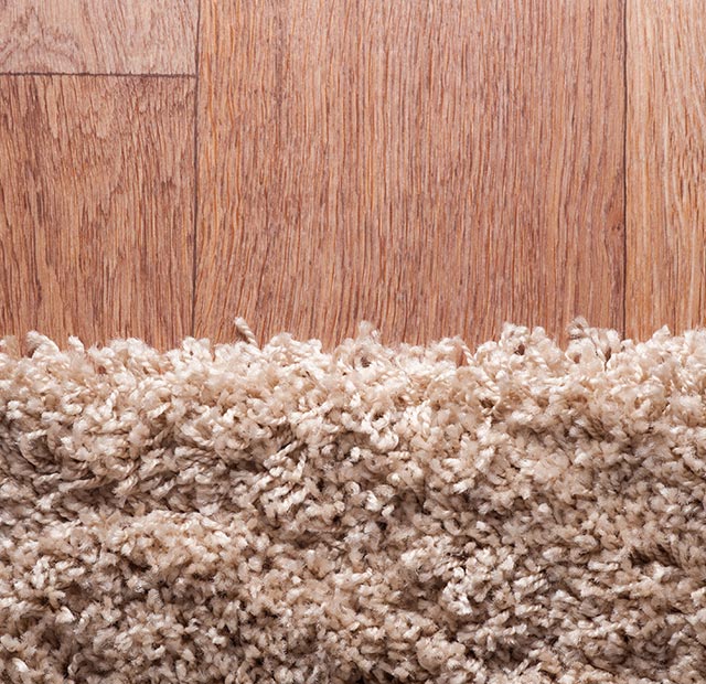 Carpet Cleaning