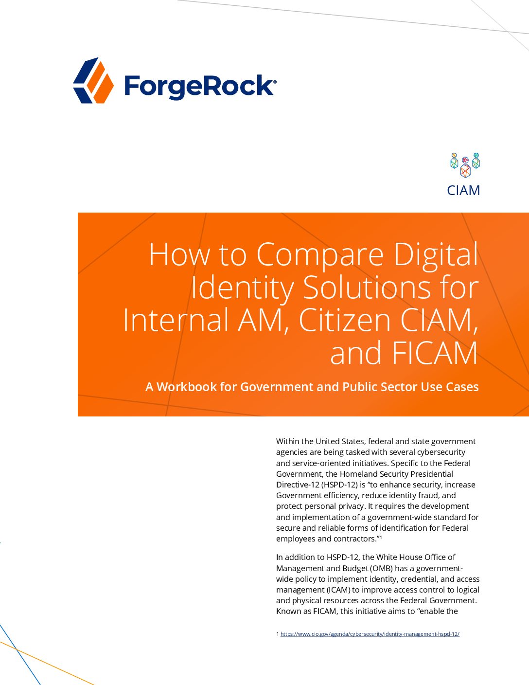 Download How to Compare Digital Identity Solutions for Internal AM, Citizen  CIAM, and FICAM Whitepaper | TechDemand