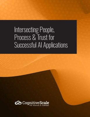 Intersecting People, Process  and  Trust for Successful AI Applications