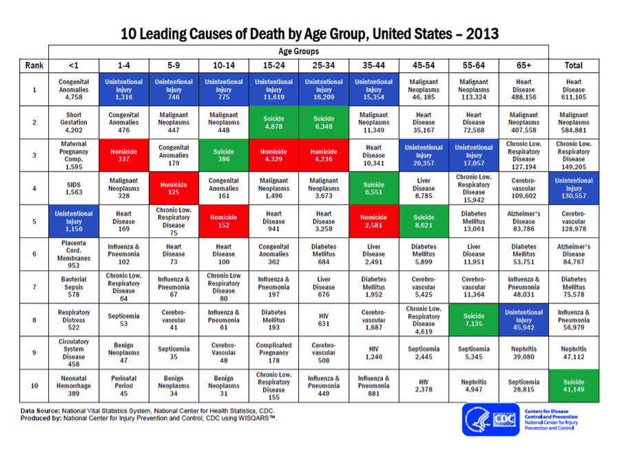10 Leading Causes of Death by Age Group