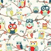 00559 perched owls mint