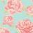 00791 rosy mosiac