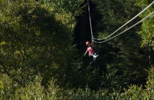 xTreeTops-Small-2