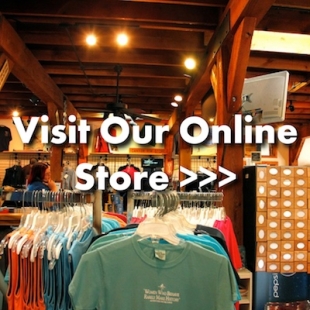 Store-01