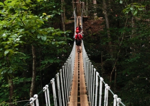 Tiny-Sky-Bridge