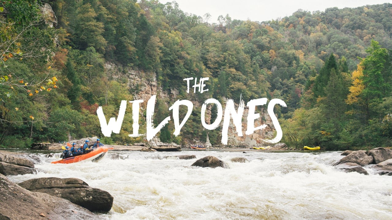 The Wild Ones: Jo-Beth