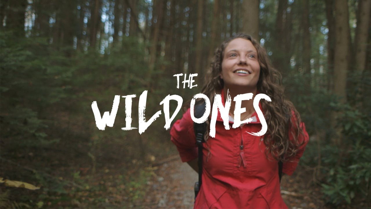 The Wild Ones: Bongo