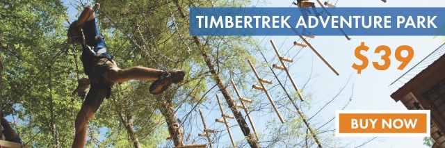 Timber109