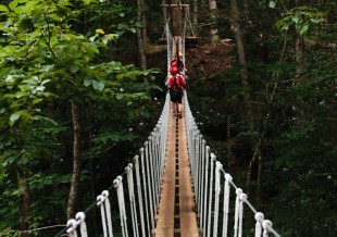 Tiny-Sky-Bridge