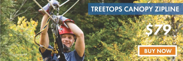 Treetops79