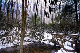 snow1