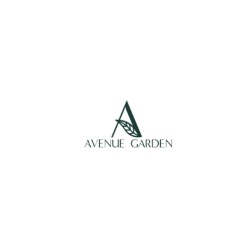 Ava