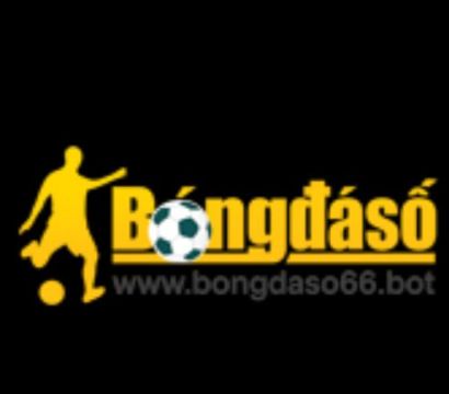Logo bongdaso