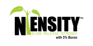 Ntensity with B logo-01