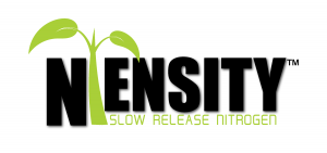 Ntensity logo-01