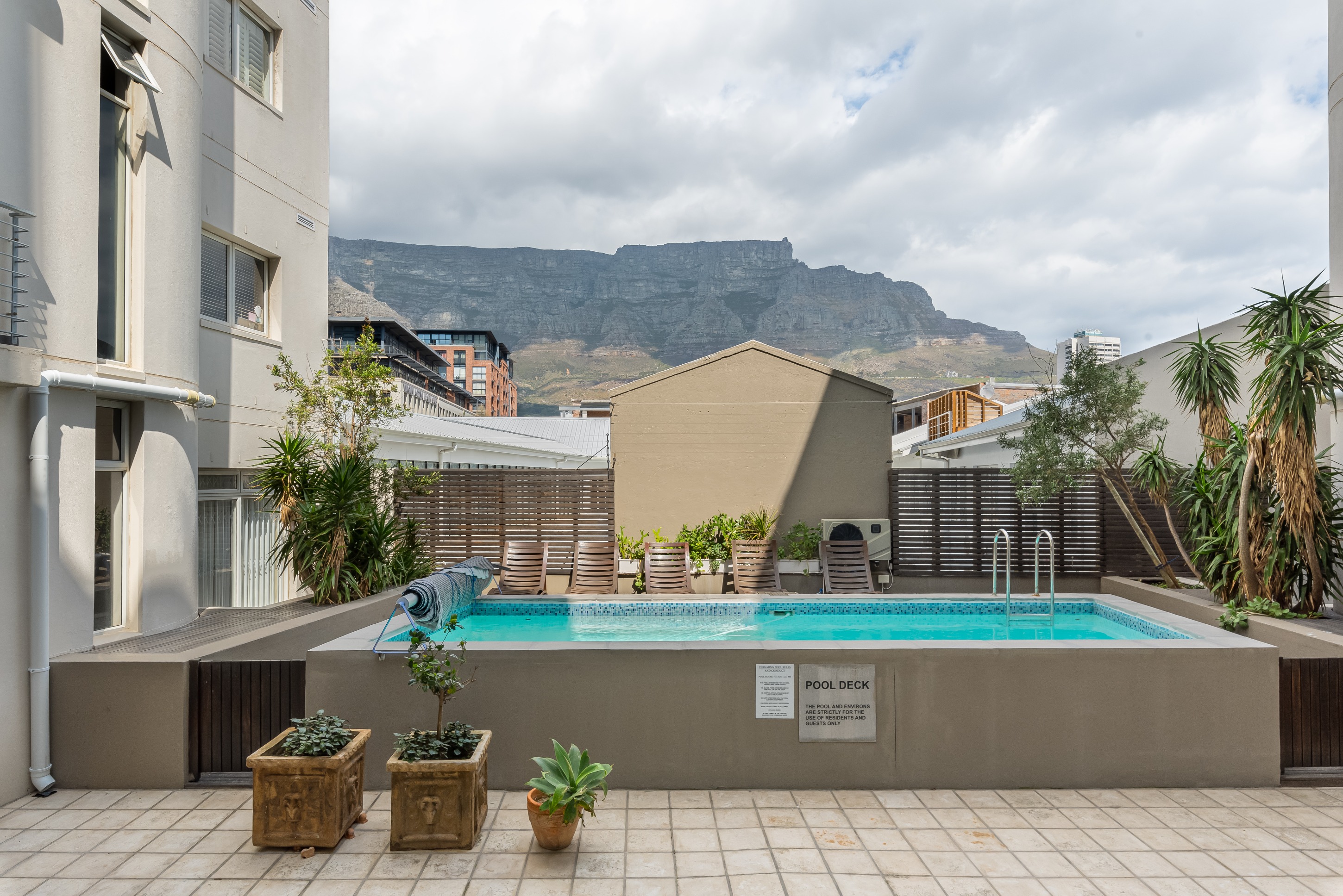 Central Mountain Views featured image