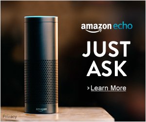 amazon echo just ask