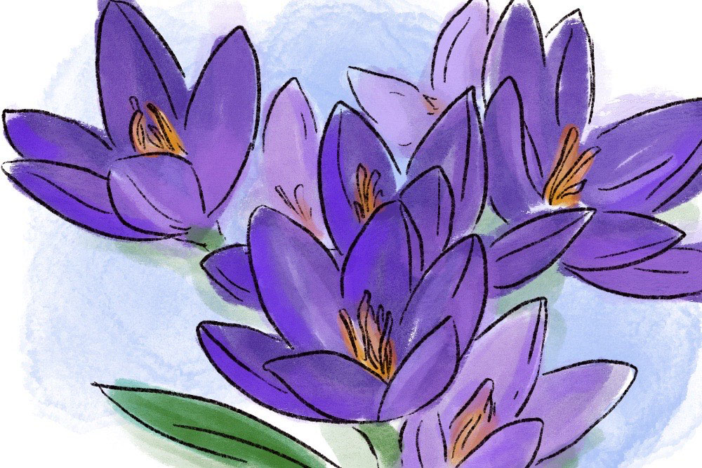 Spring Equinox Flower Ceremony Script