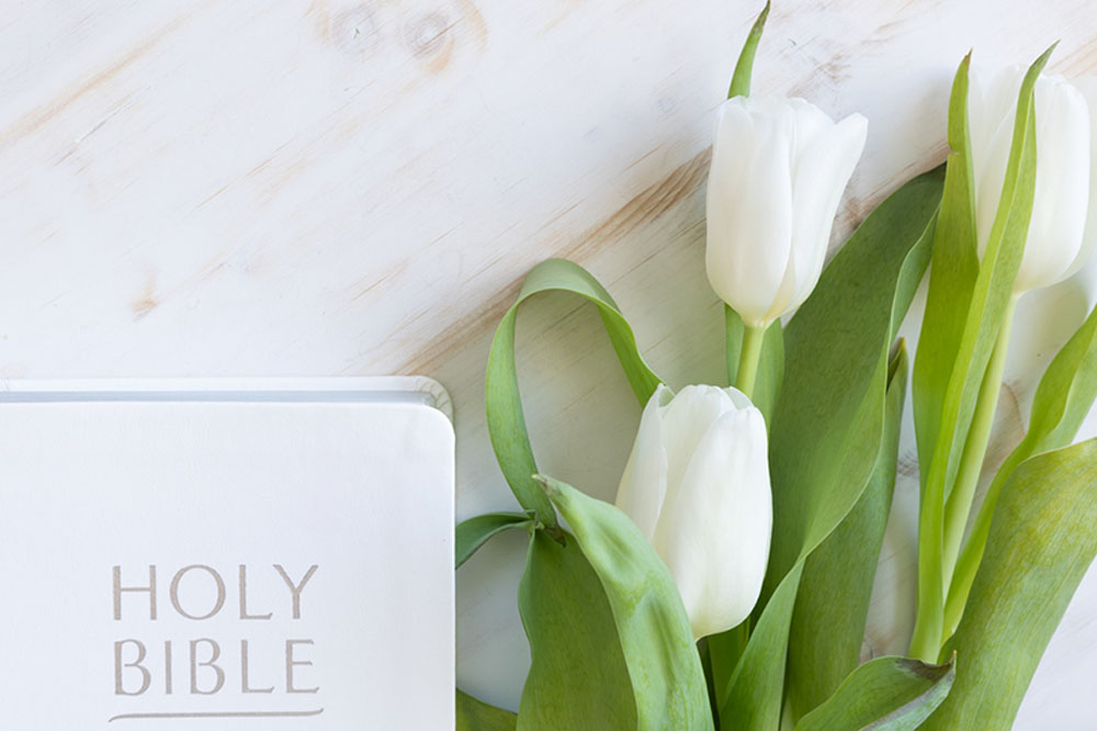 A white Bible is placed on a table next to a bouquet of white wedding tulips