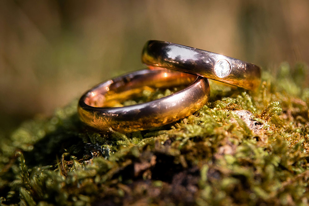 Two gold wedding rings outdoors on tree
