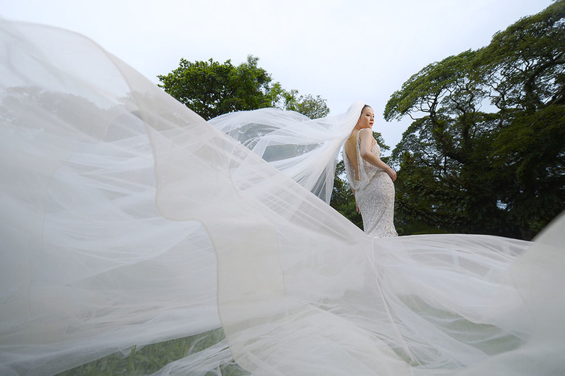 A dramatic photograph of a woman in a white wedding dress and veil. The woman stands in the background, outdoors, while the veil billows and blows in the wind toward the camera, covering most of the frame in a dramatic motion of white gauze